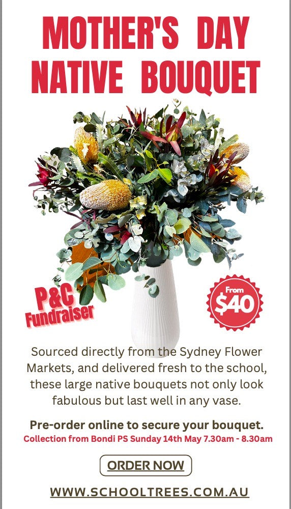Mother's Day Fundraiser Bondi Public School P&C
